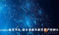 biyapay數字錢包：安全便捷