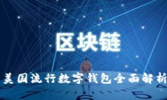 美國(guó)流行數(shù)字錢(qián)包全面解