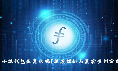  小狐錢包是真的嗎？深度揭秘與真實(shí)案例分析