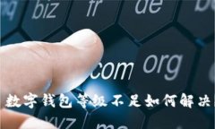  數(shù)字錢包等級不足如何解