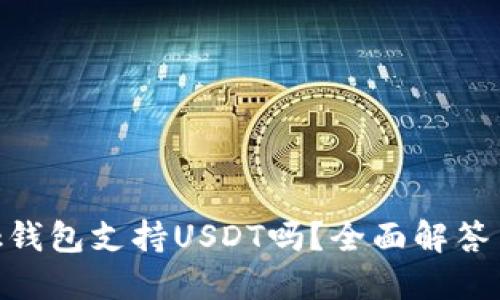 MetaMask錢包支持USDT嗎？全面解答與使用指南